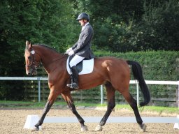 IMG_9858_web